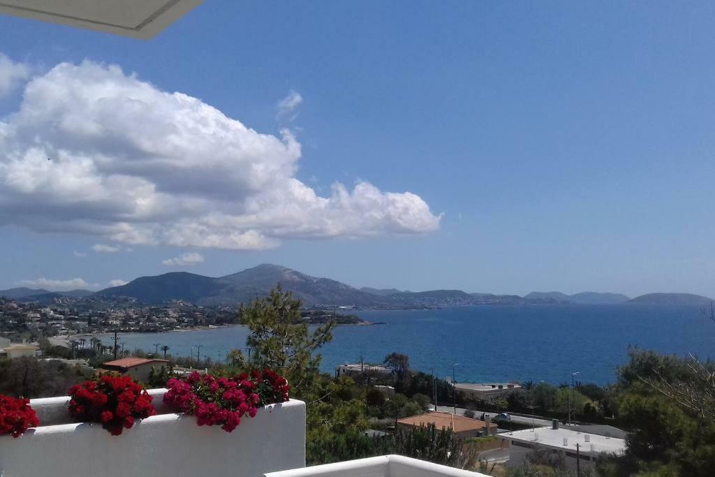 Beautiful, Private Villa By The Sea Agia Marina  Exterior photo