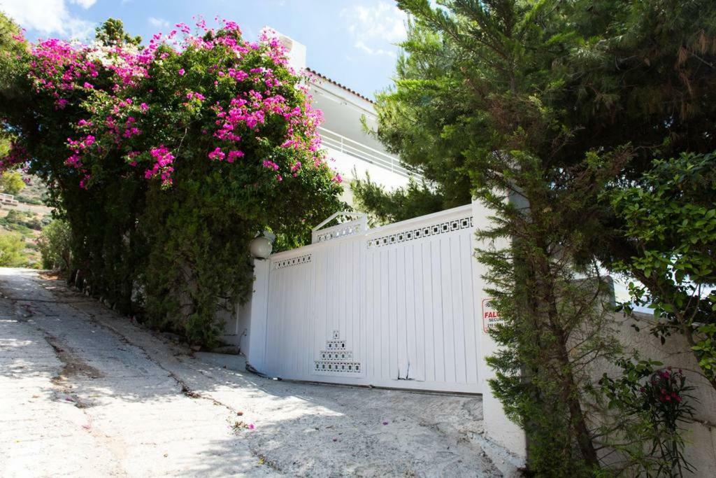 Beautiful, Private Villa By The Sea Agia Marina  Exterior photo