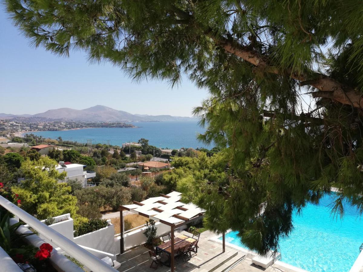 Beautiful, Private Villa By The Sea Agia Marina  Exterior photo